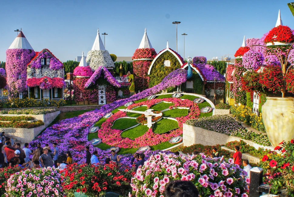 Dubai's Hidden Gems: Offbeat Experiences Worth Exploring