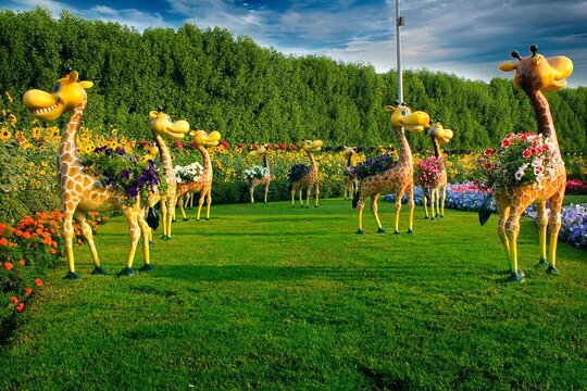 Tour image 7